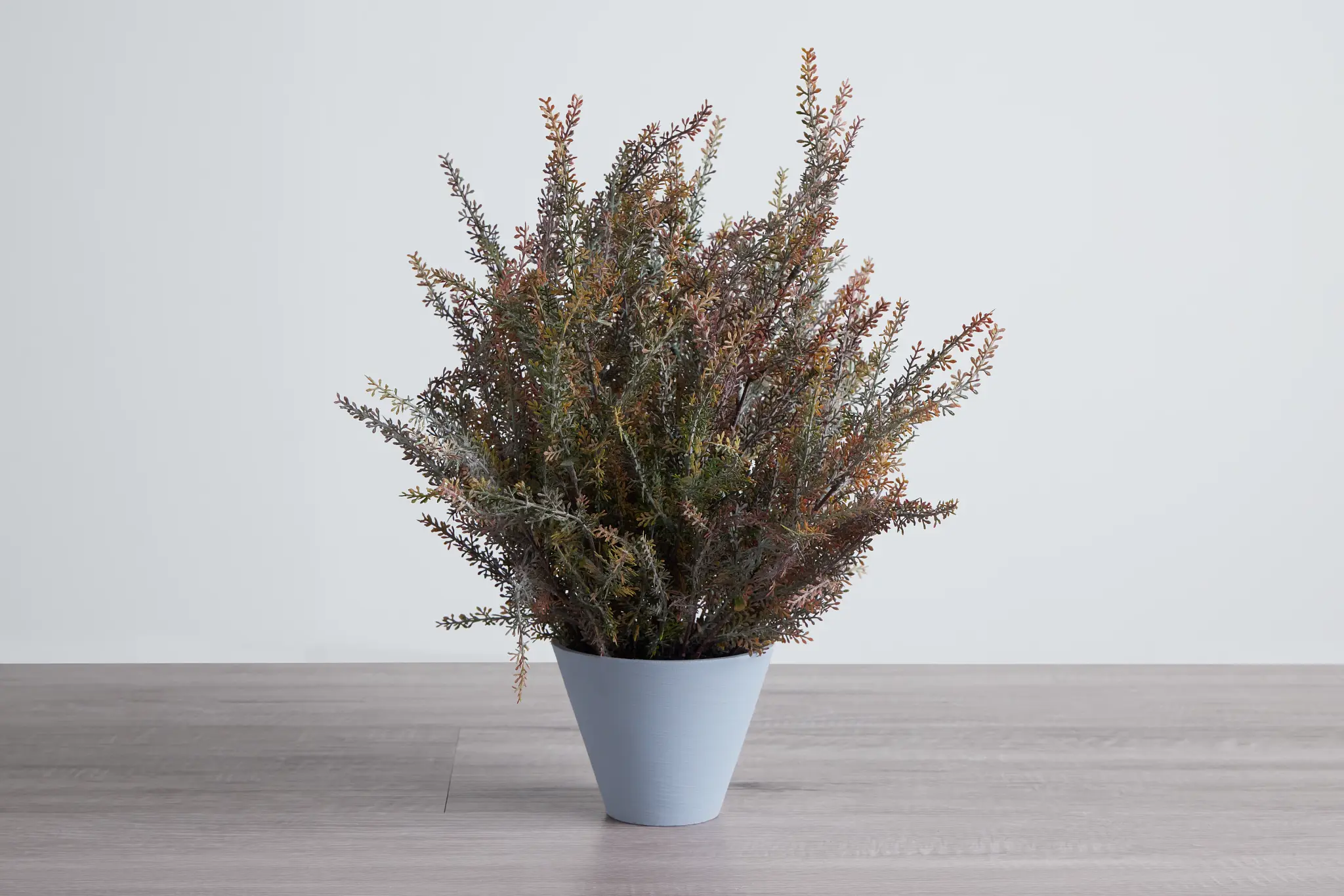 Alhagi Medium Greenery Alhagi Medium Greenery