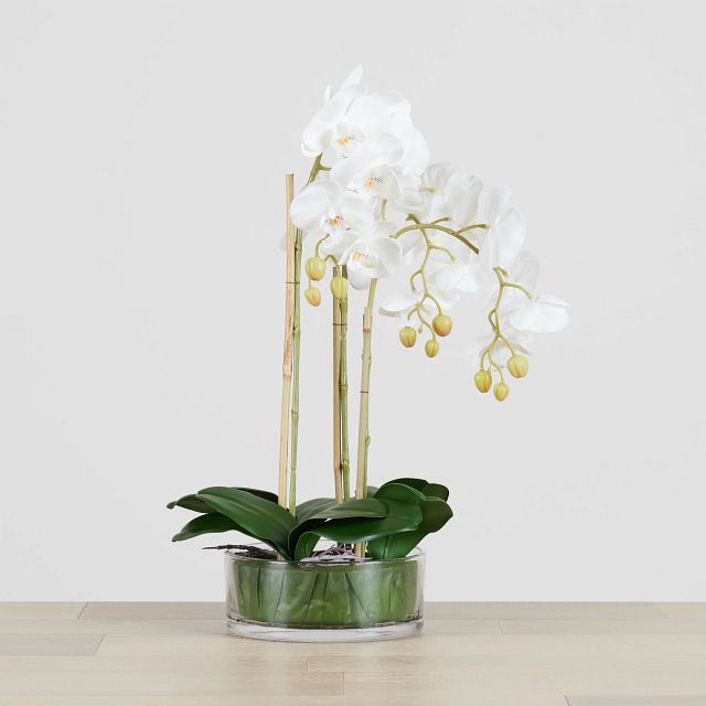 Potted Glass 22" Orchid