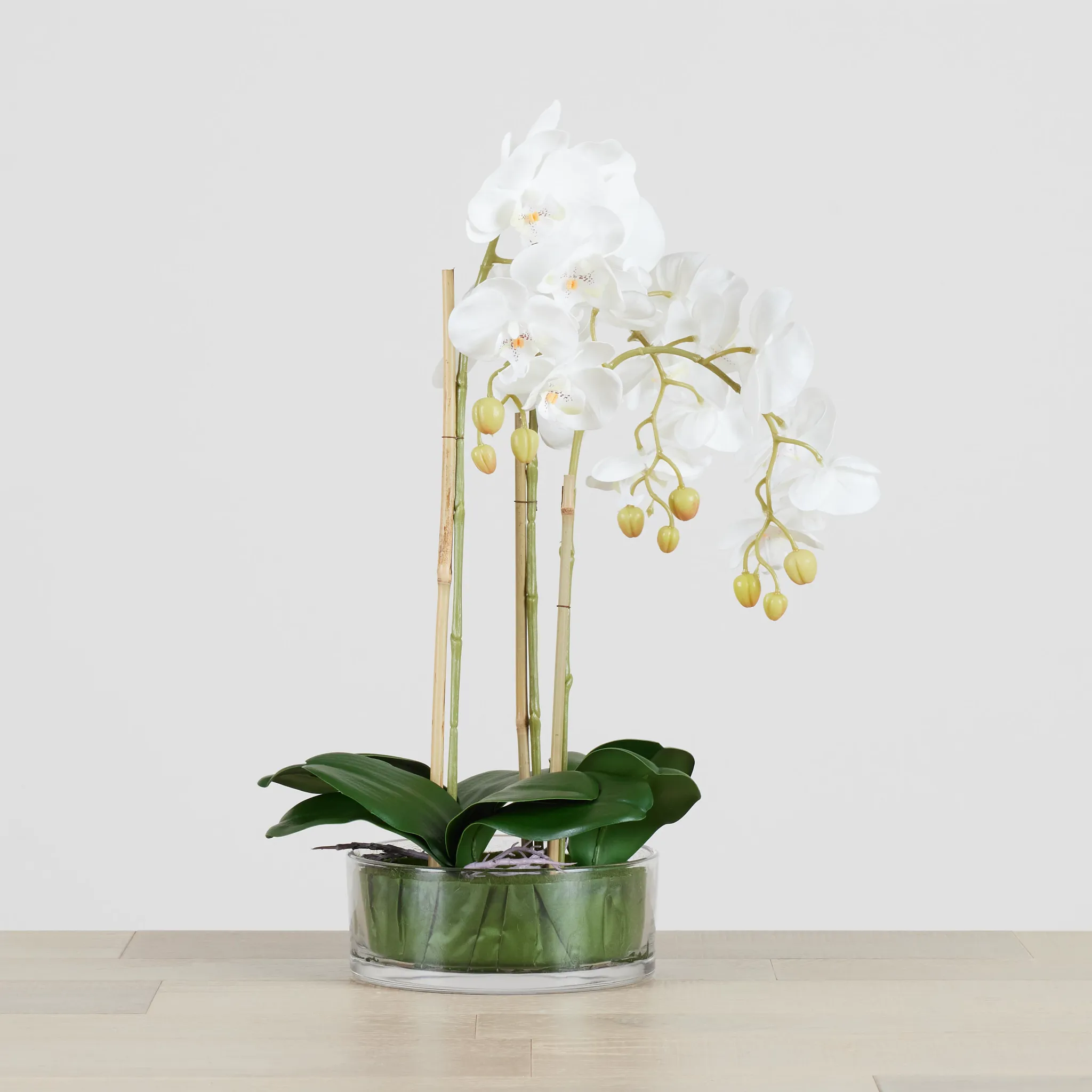 Potted Glass 22" Orchid