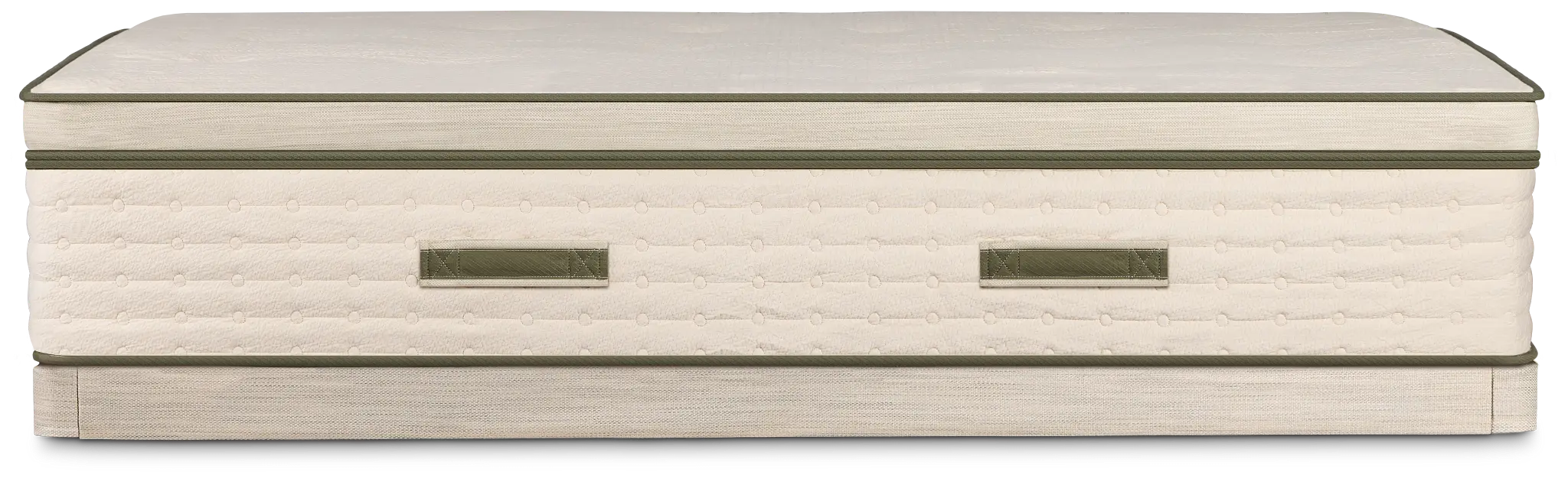 Avocado Green Plush Low-profile Mattress Set Avocado Green Plush Low-profile Mattress Set