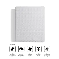 Dri-tec Mattress Protector