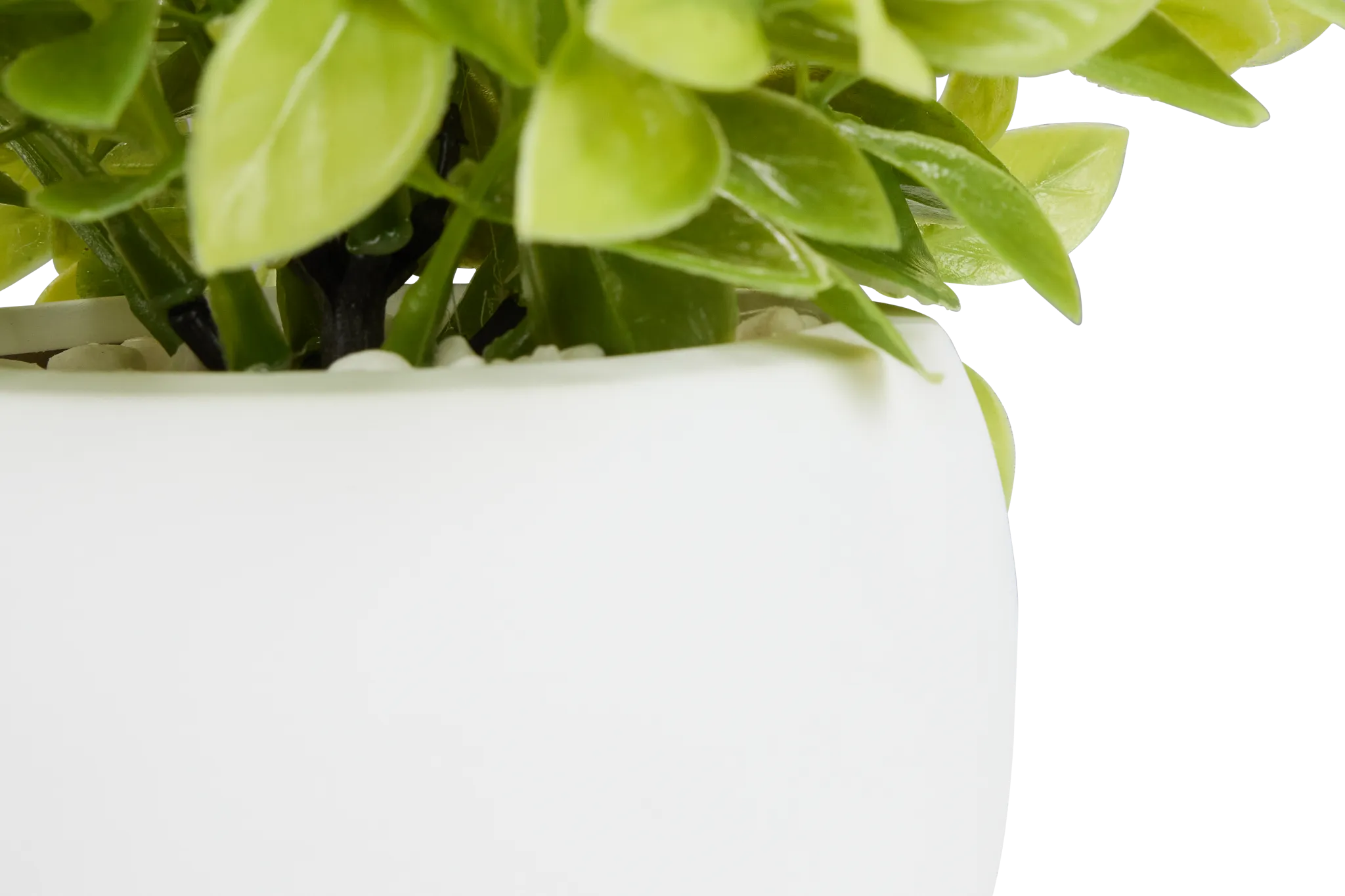 Evergreen Leaf 10.5" Greenery