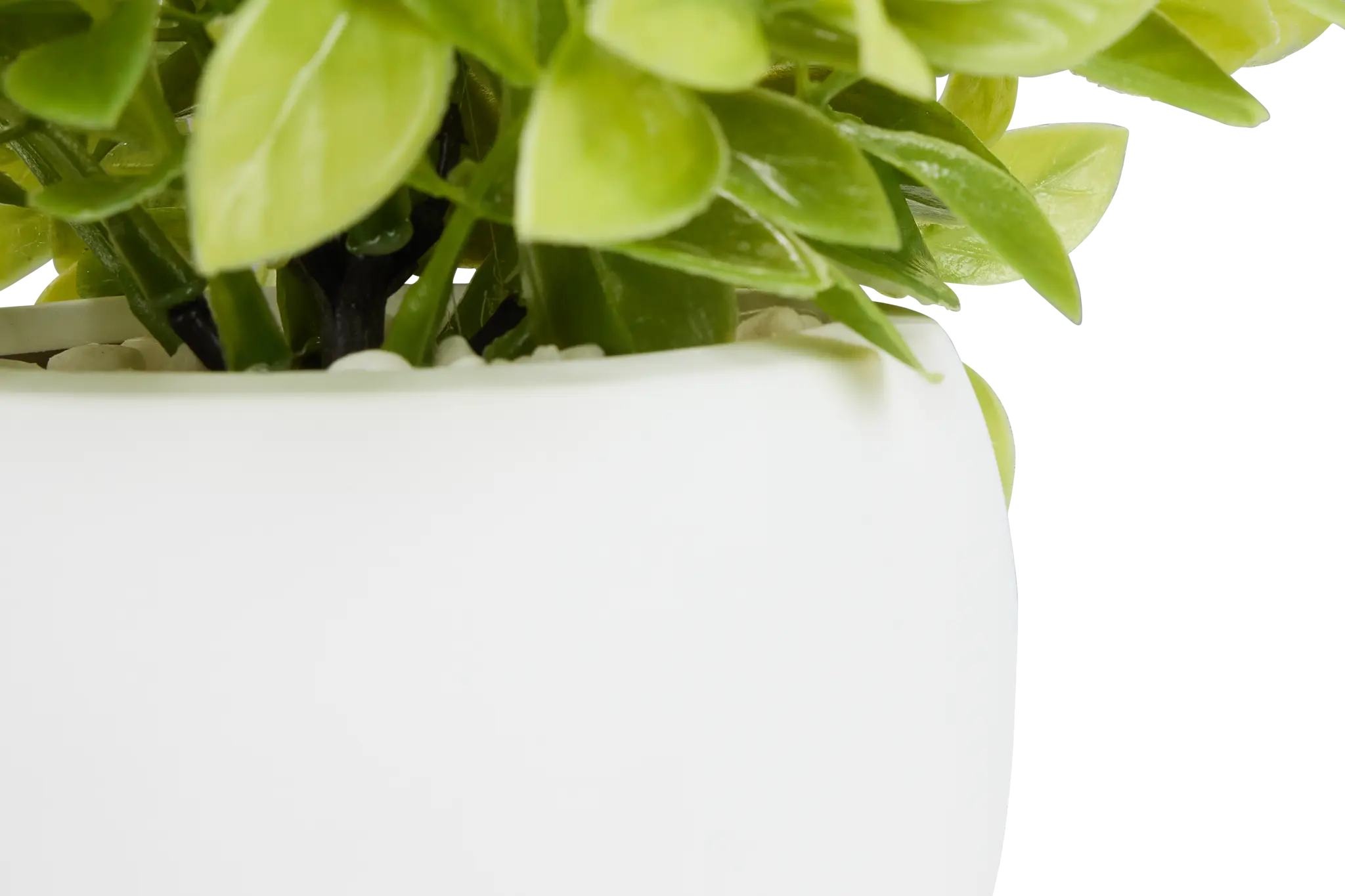 Evergreen Leaf 10.5" Greenery Evergreen Leaf 10.5" Greenery