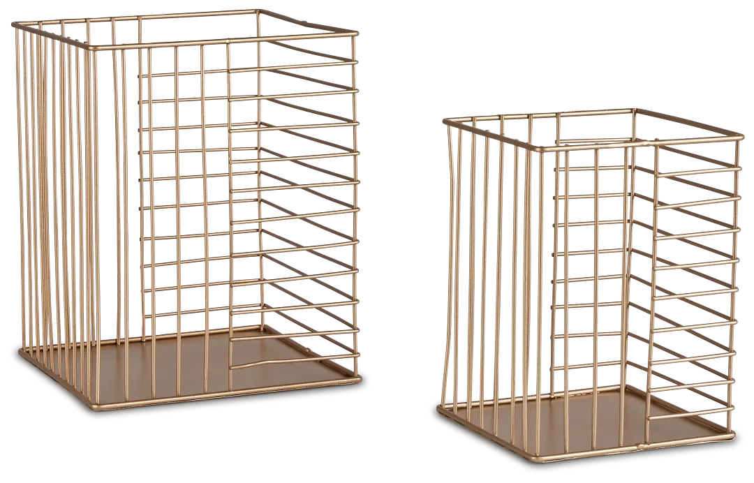 Becca Gold Set Of 2 Basket