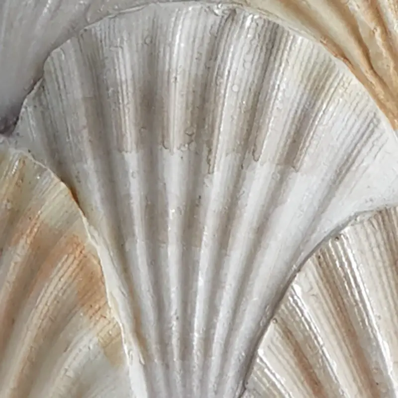 WHITE Sea Shell White Tabletop Accessory
