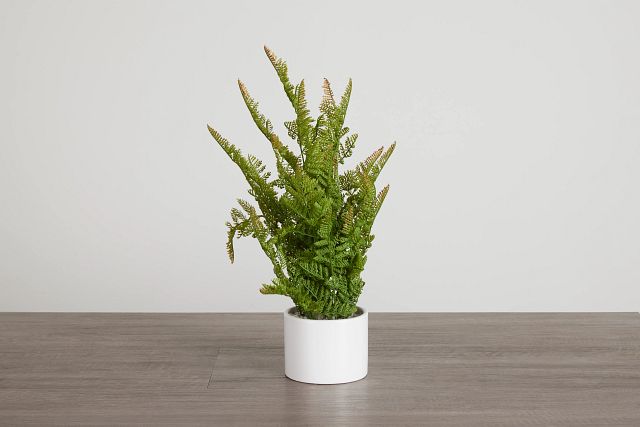 Lemon Button Fern 24" Greenery