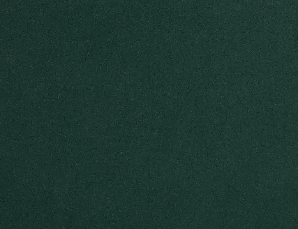 Captiva Joya Green 60" Upholstered Shelter Bed Captiva Joya Green 60" Upholstered Shelter Bed