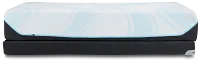 Tempur-pedic Tempur-probreeze Medium Low-profile Mattress Set