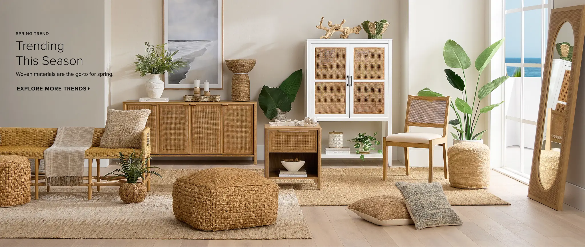 Shop Woven Furniture