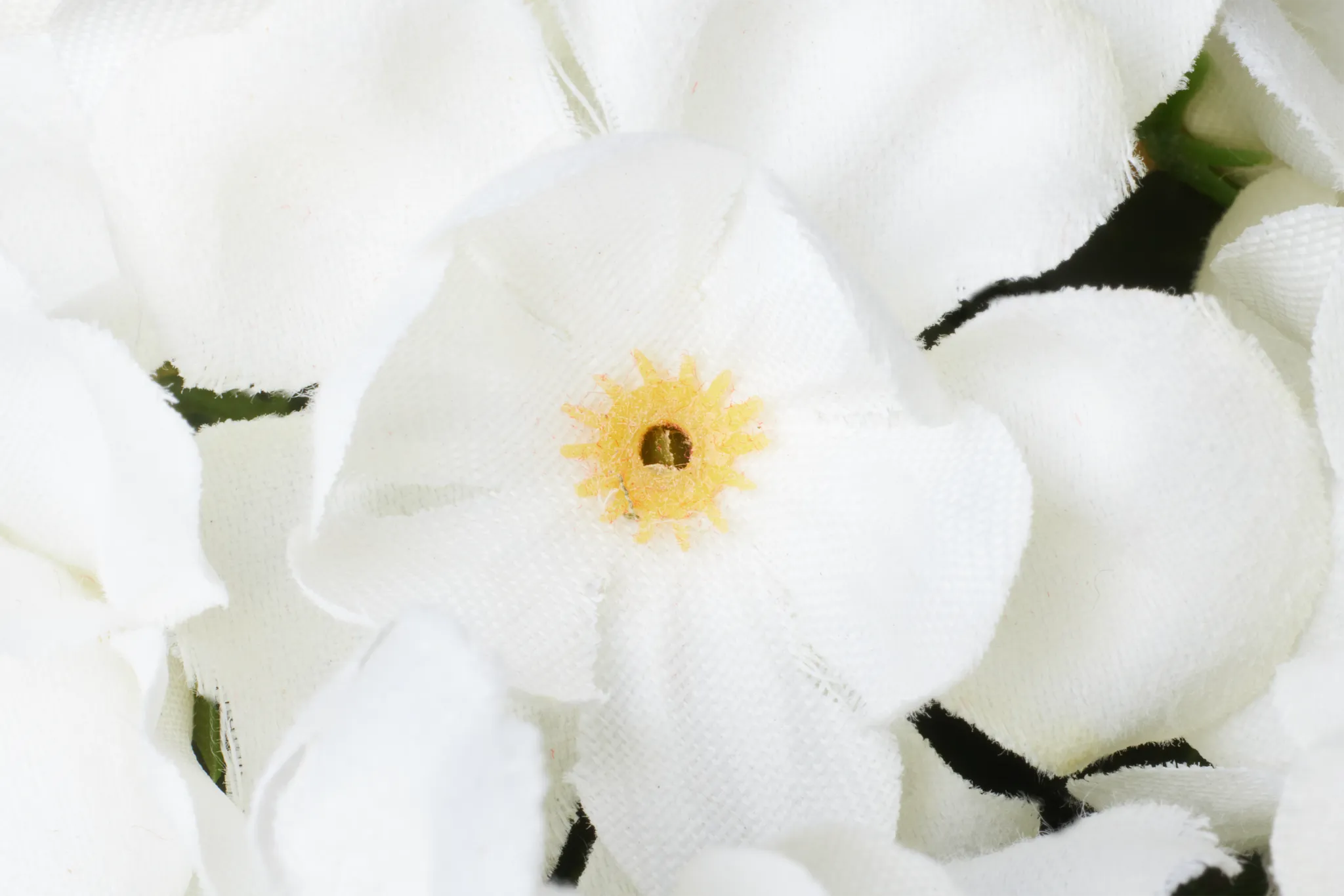 Begonia White 11" Floral Arrangement