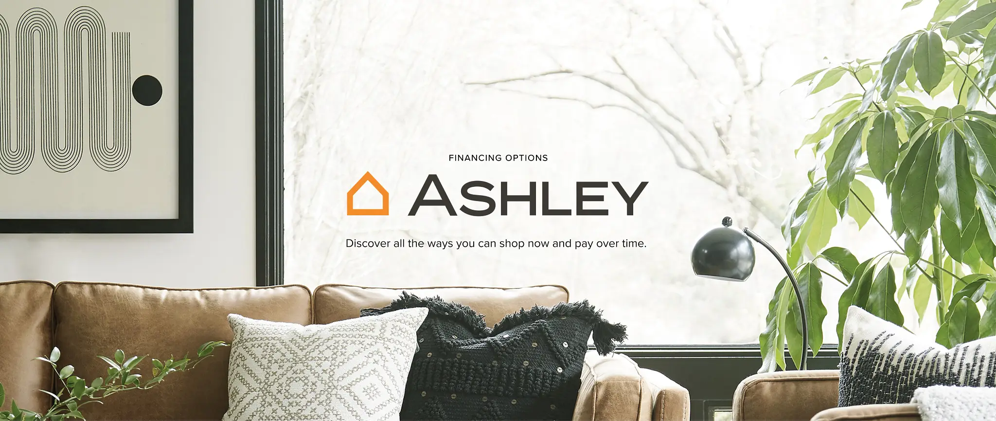 Ashely Financing Options