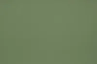 Ferni Green Storage Bookcase