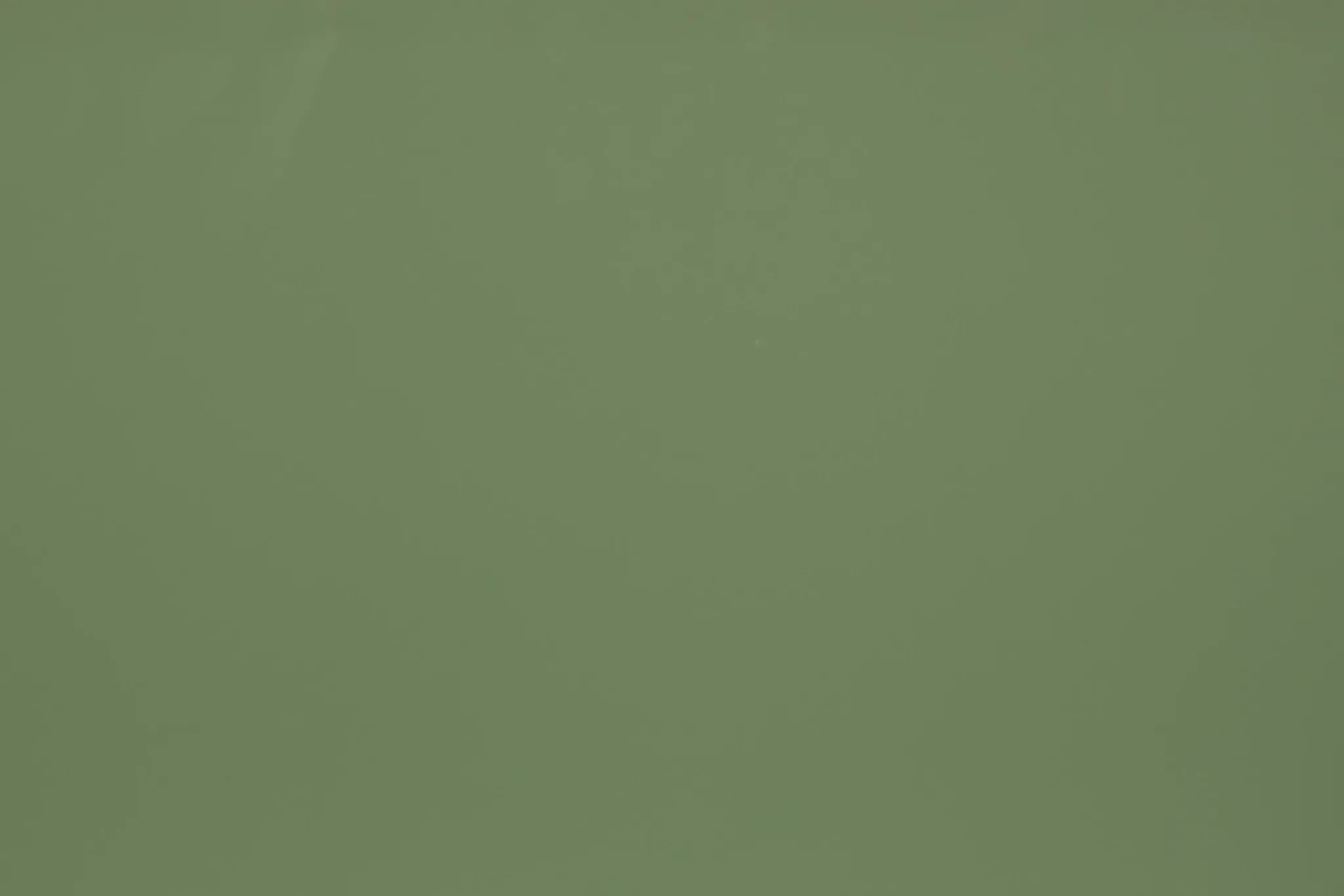 Ferni Green Storage Bookcase