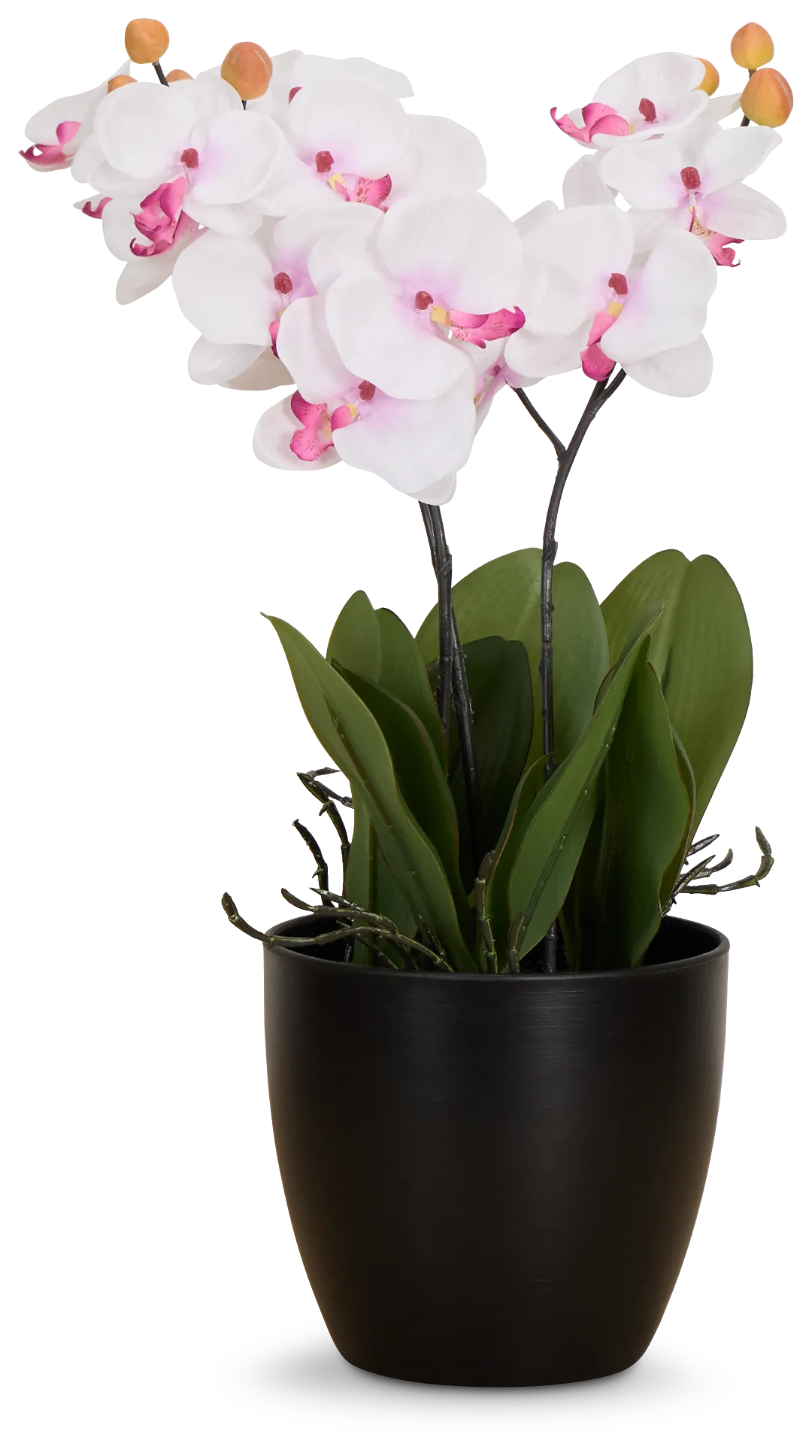 Orchid 7.5" White Floral Arrangement