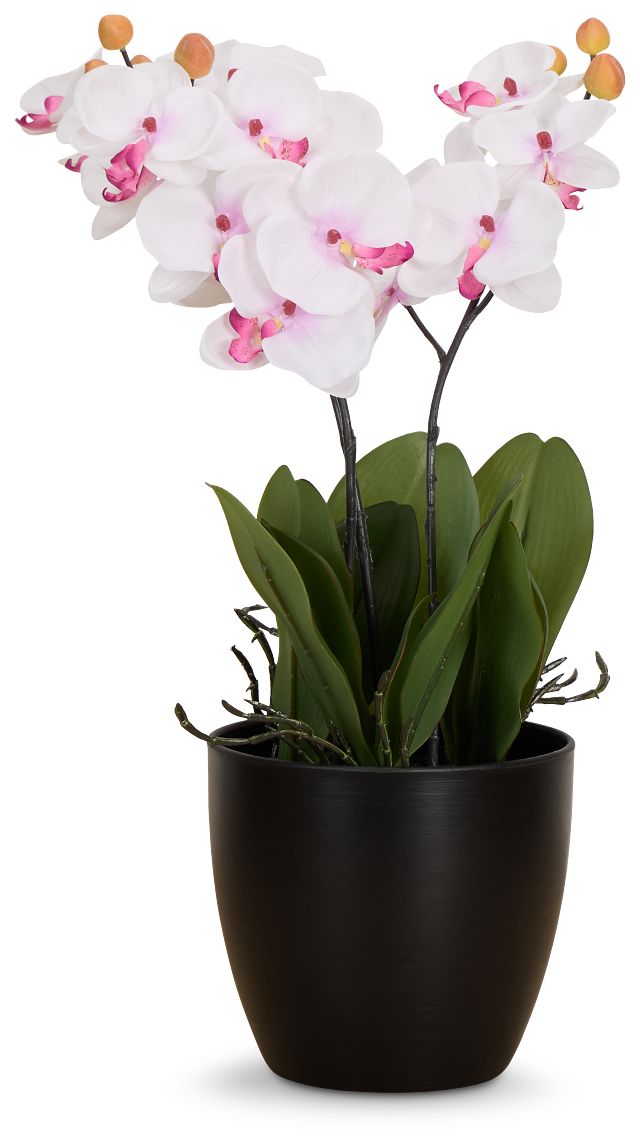 Orchid 7.5" White Floral Arrangement