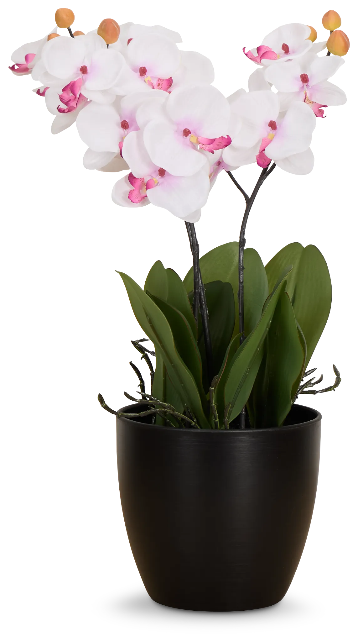 Orchid 7.5" White Floral Arrangement