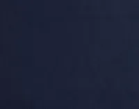 Captiva Joya Dark Blue 48" Upholstered Shelter Bed