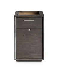 Highline Dark Tone Small File Cabinet