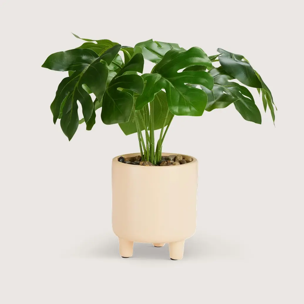 Greenery