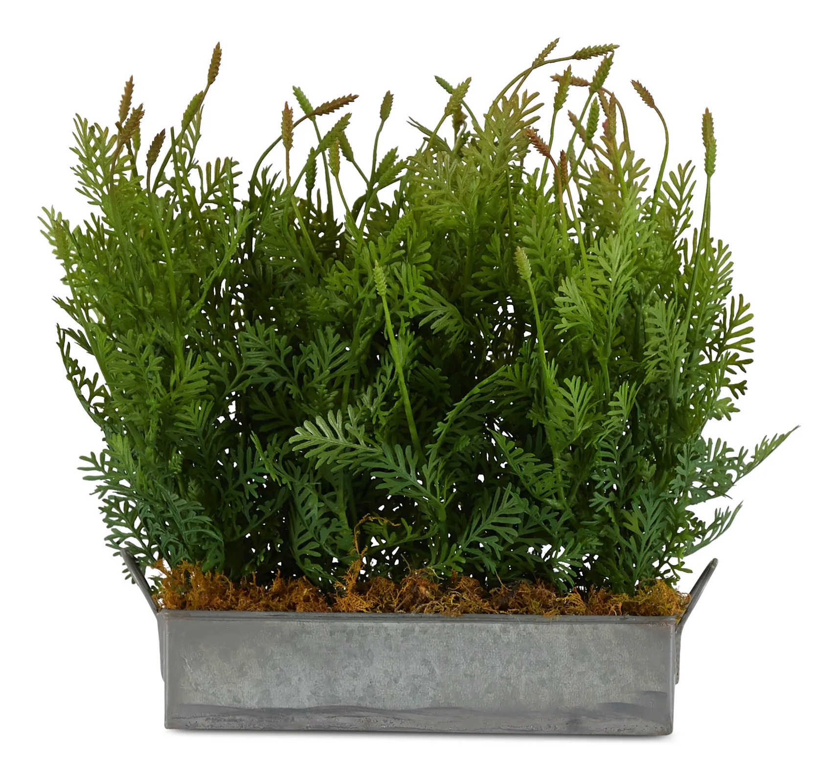 Fernleaf Cement Square Greenery