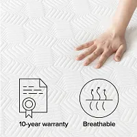 Rest & Renew By Zinus Gel Memory Foam Mattress 10" Cush Firm Mattress