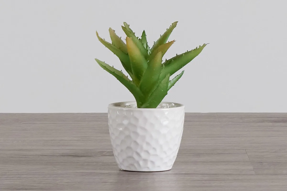 Desert Plant 7" Succulent