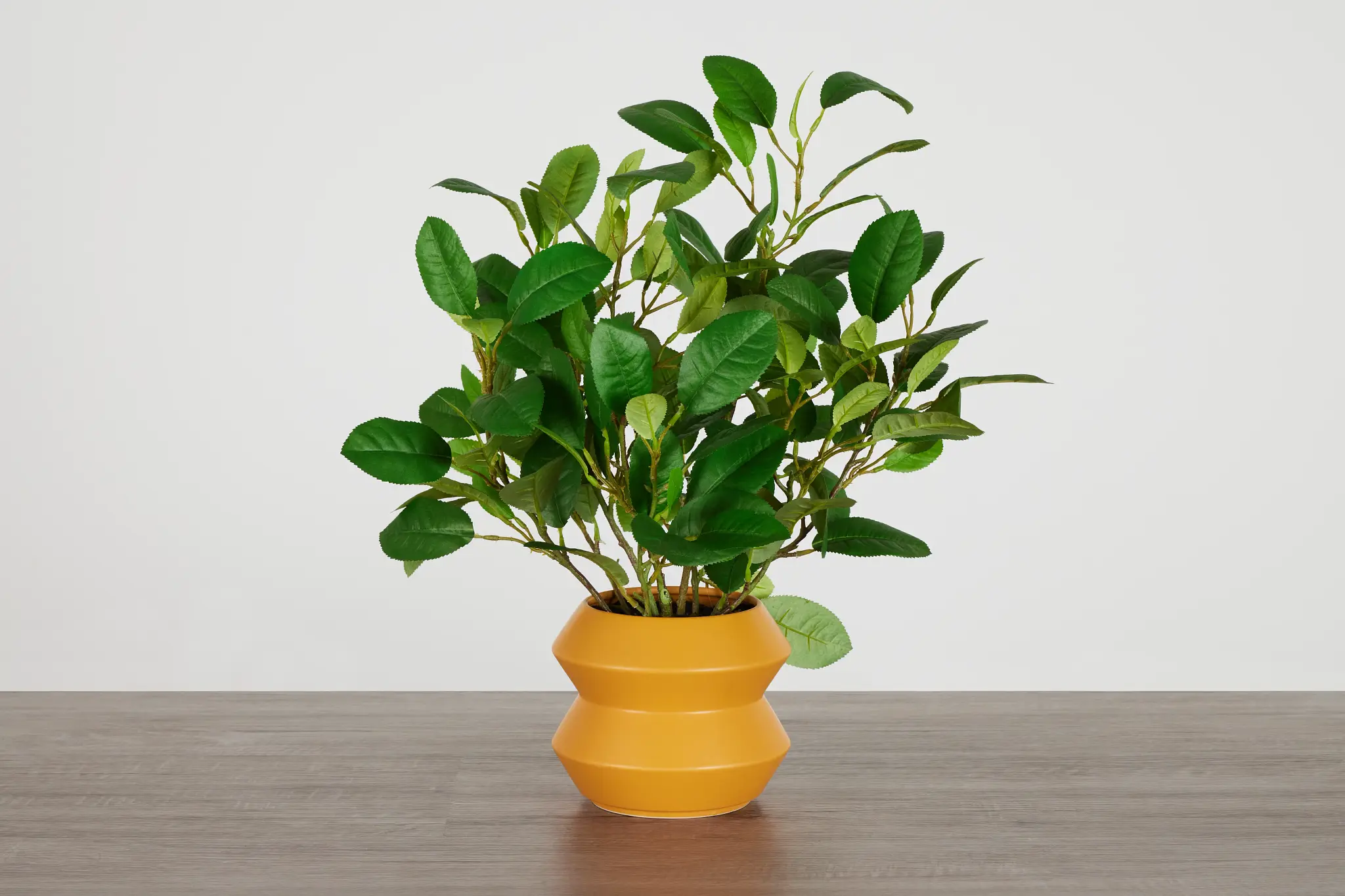 Lemonbranch 22" Greenery Lemonbranch 22" Greenery