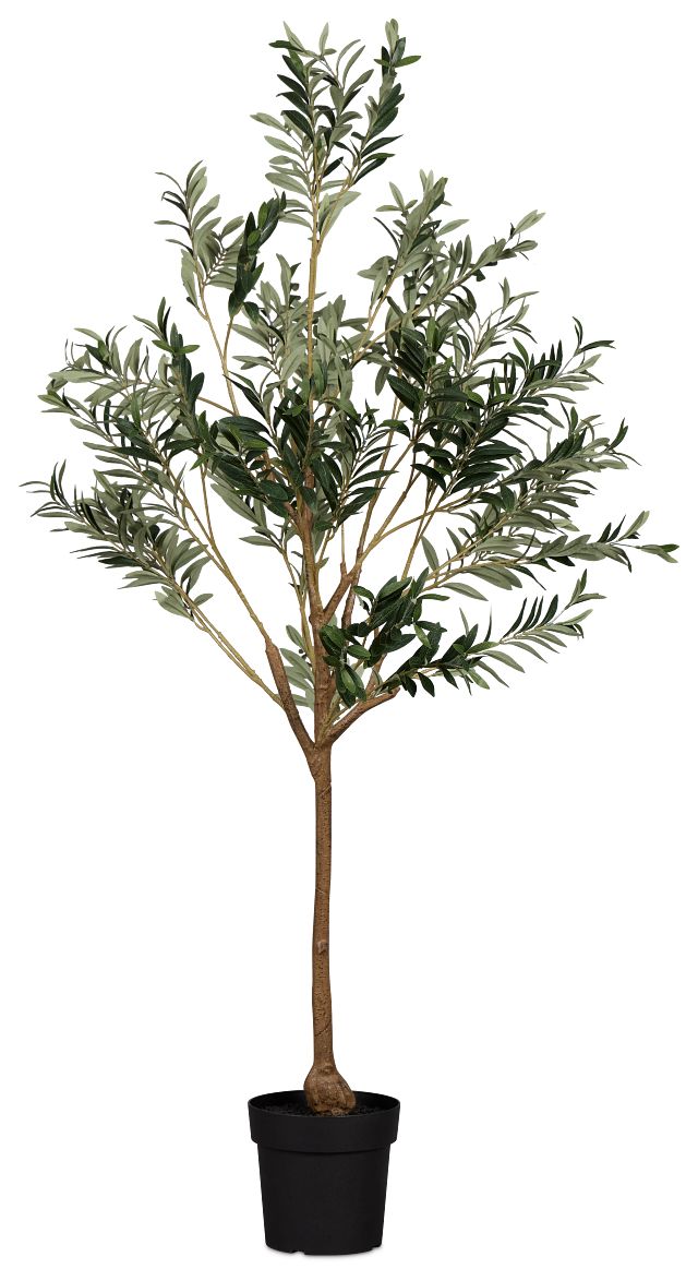 Olive 5' Green Tree
