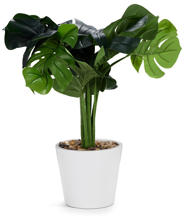 Monstera Deliciosa 20" Greenery