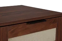 Walker Dark Tone 1-drawer End Table