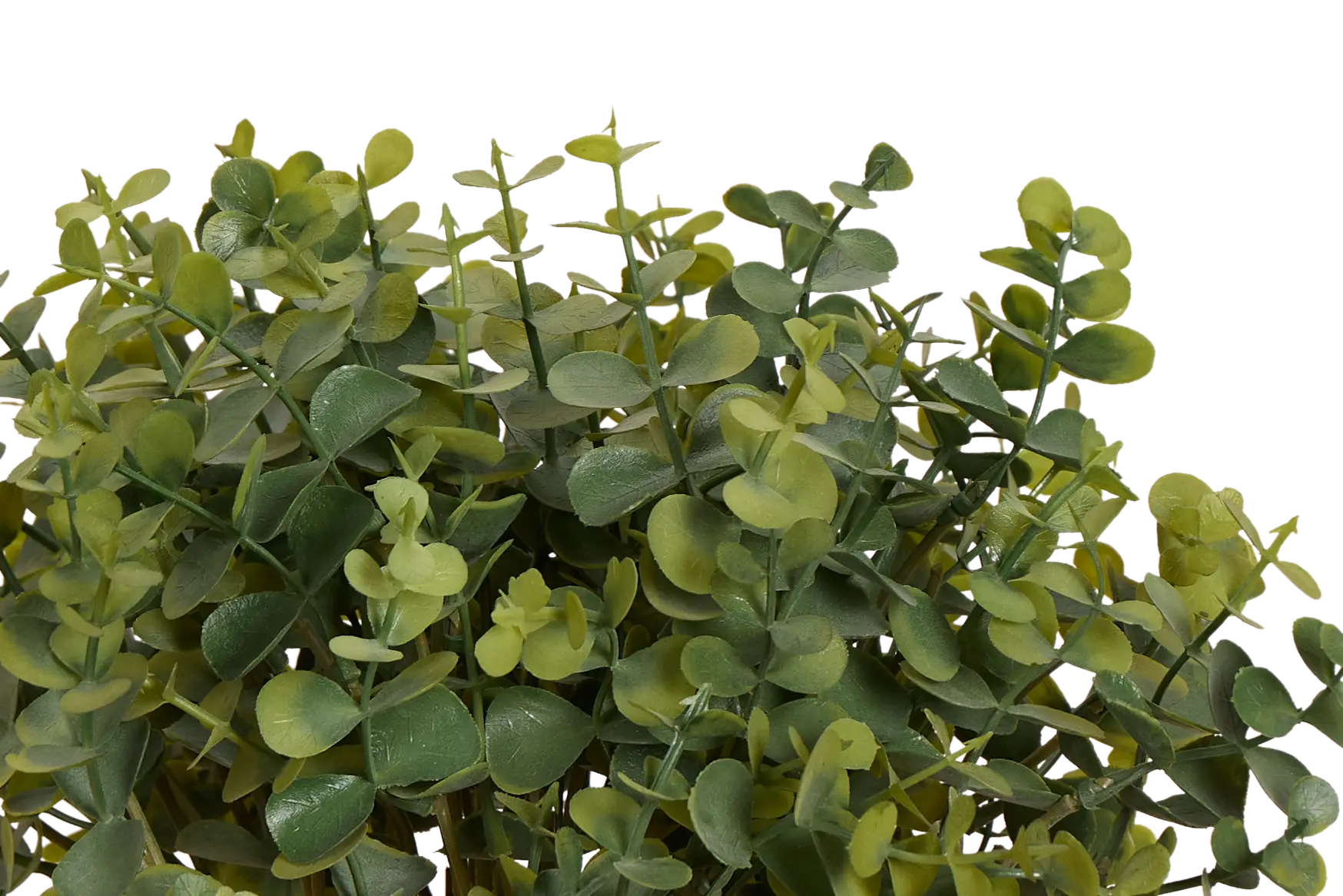 Eucalyptus Small Greenery Eucalyptus Small Greenery