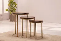 Jacob Mid Tone Nesting Tables
