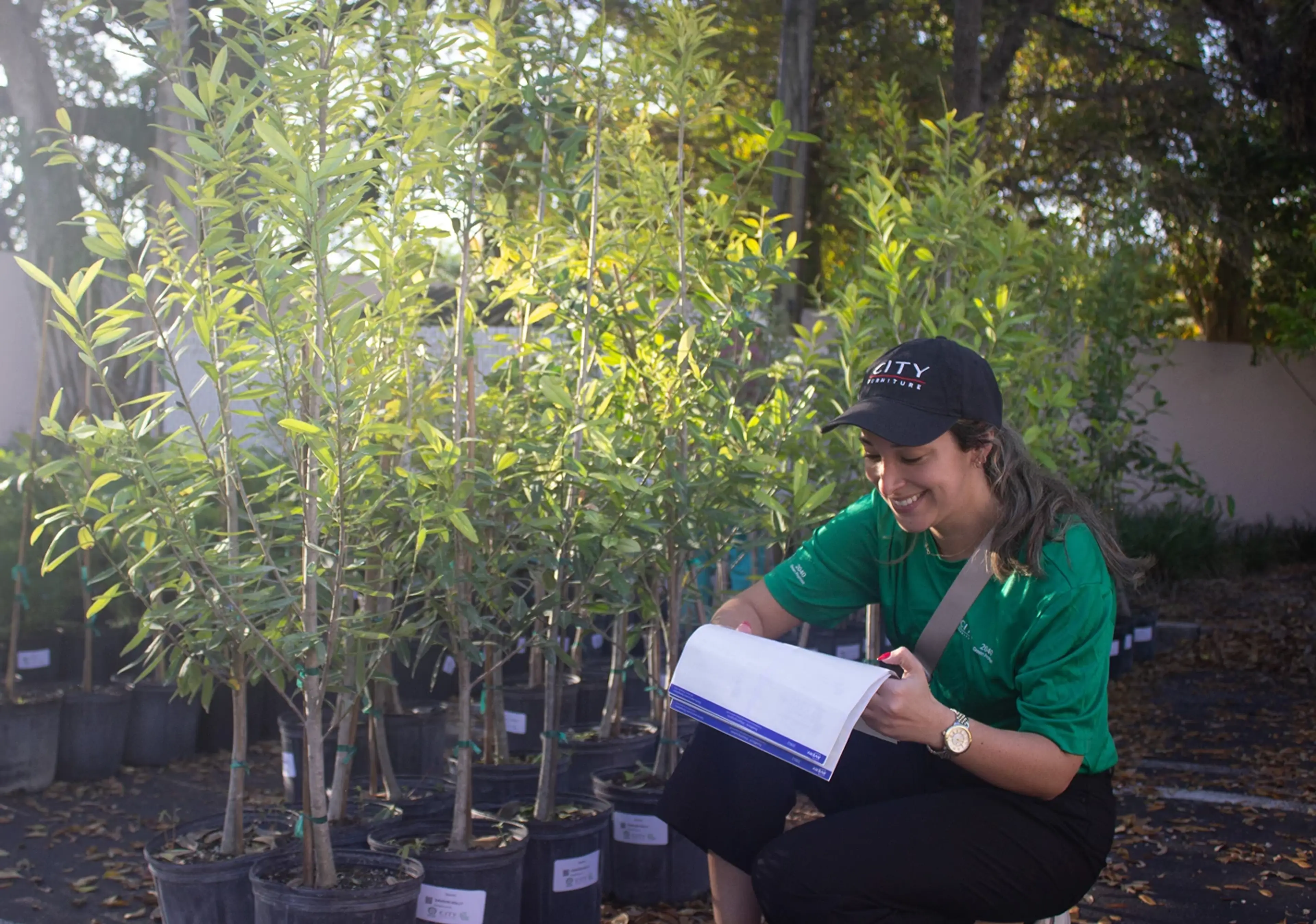Free Tree Giveaway