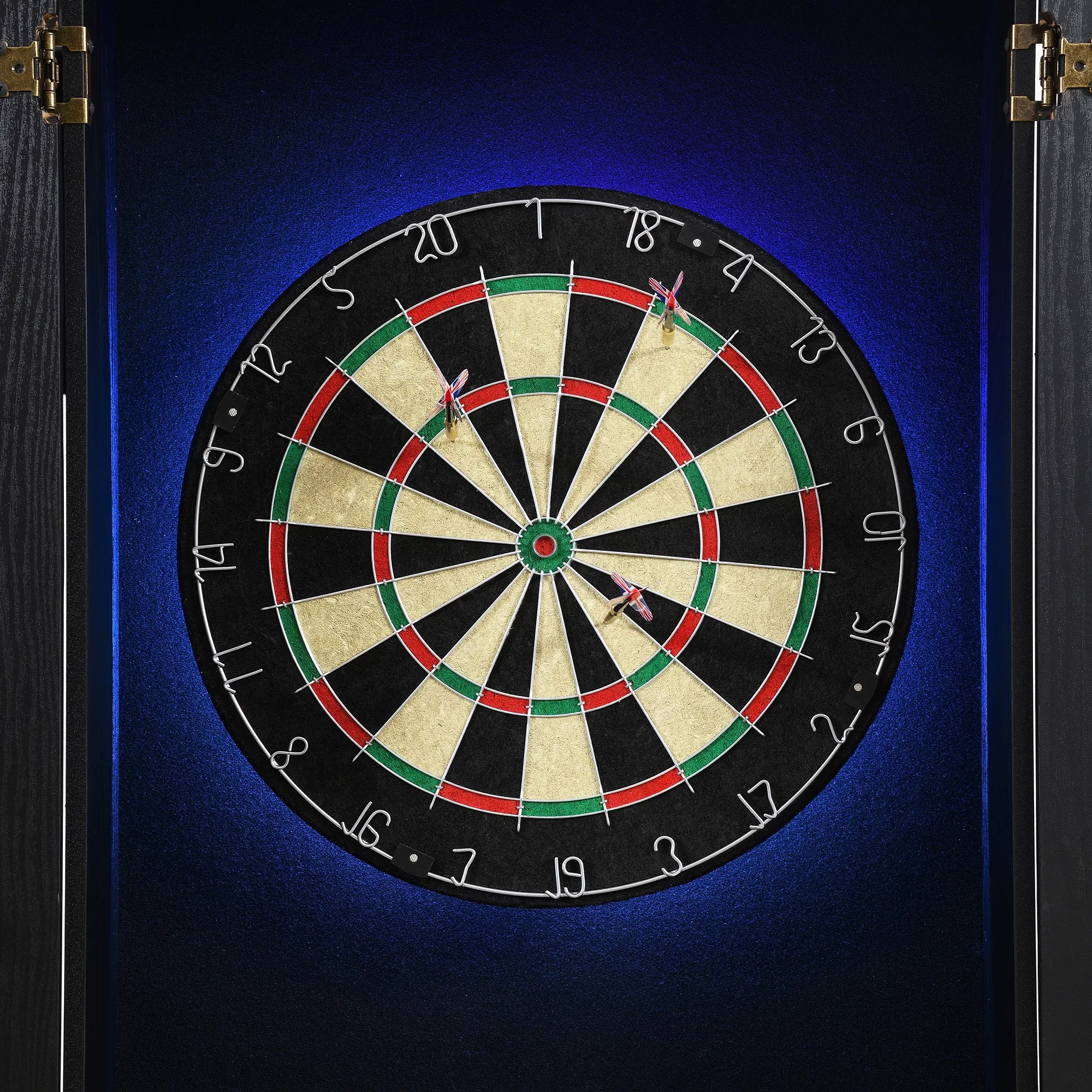 Magnus Black Dartboard