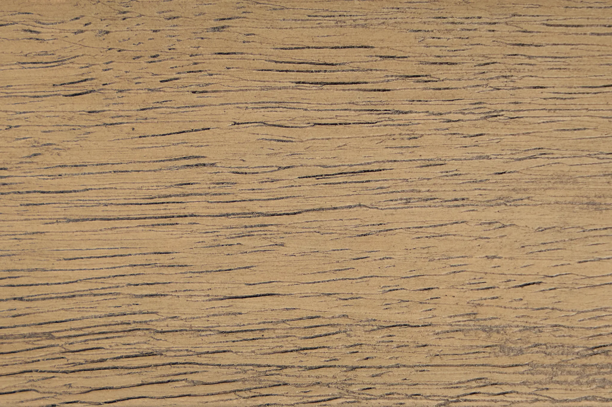 Solvana Light Tone Bookcase