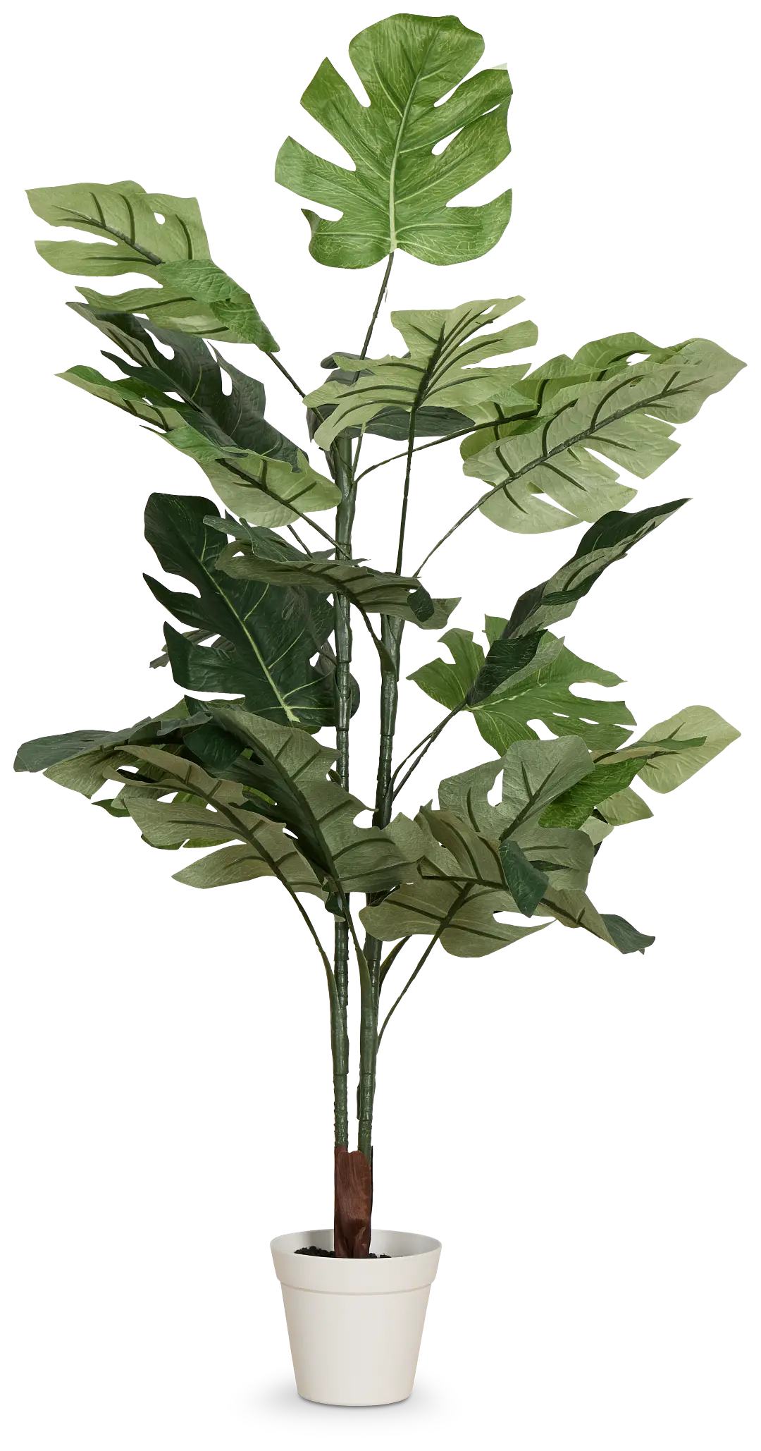 Split Philo 3' Greenery Split Philo 3' Greenery