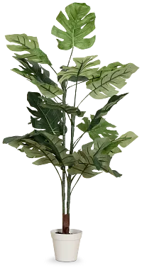 Split Philo 3' Greenery