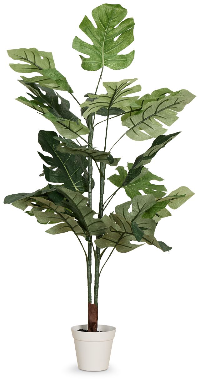 Split Philo 3' Greenery