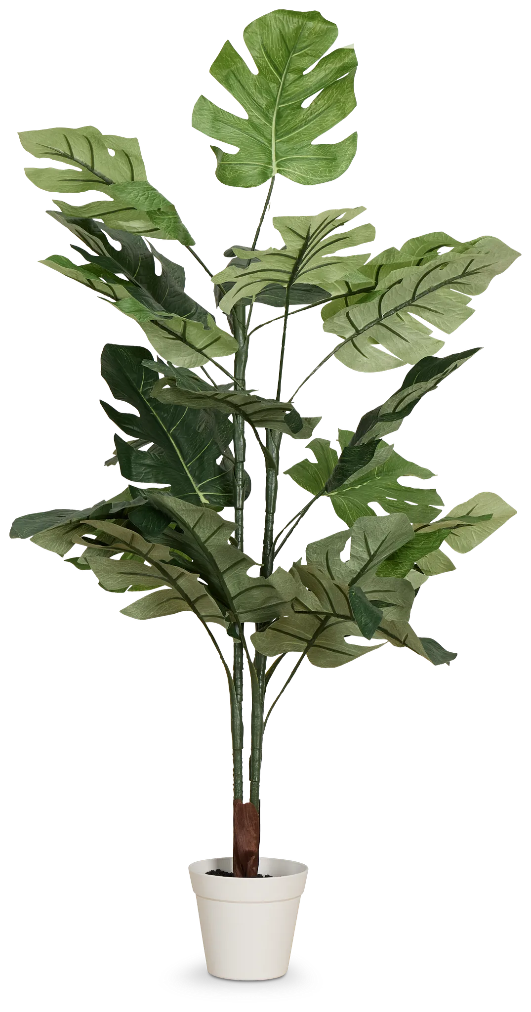 Split Philo 3' Greenery