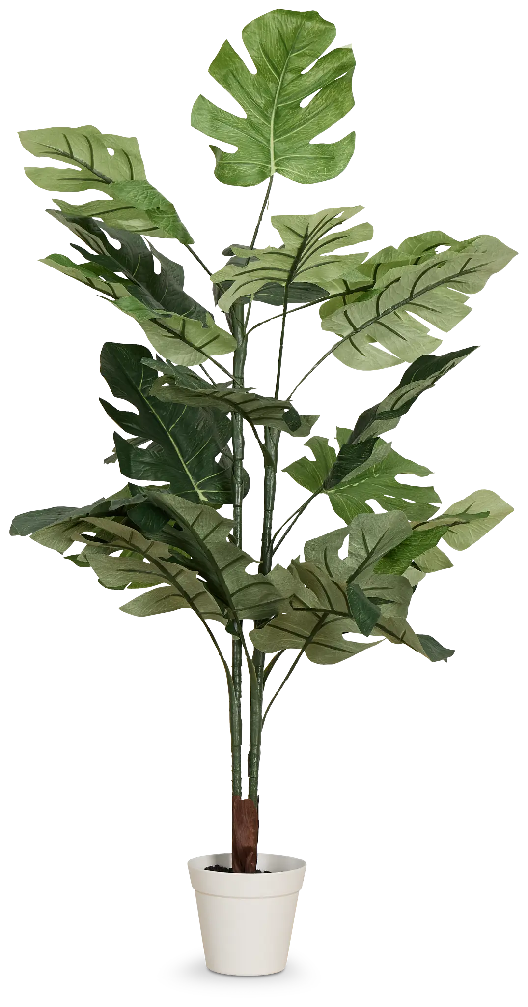 Split Philo 3' Greenery Split Philo 3' Greenery