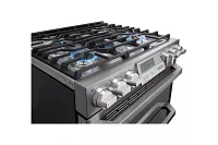 LG 4919 Series Stainless Steel Specialty Range