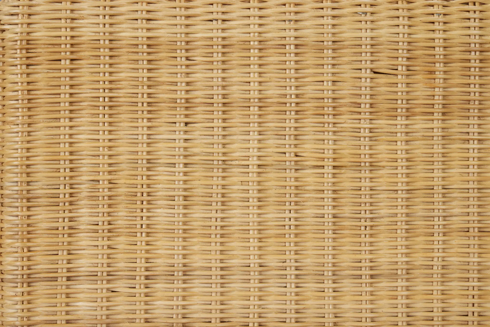 Light Tone Light Tone