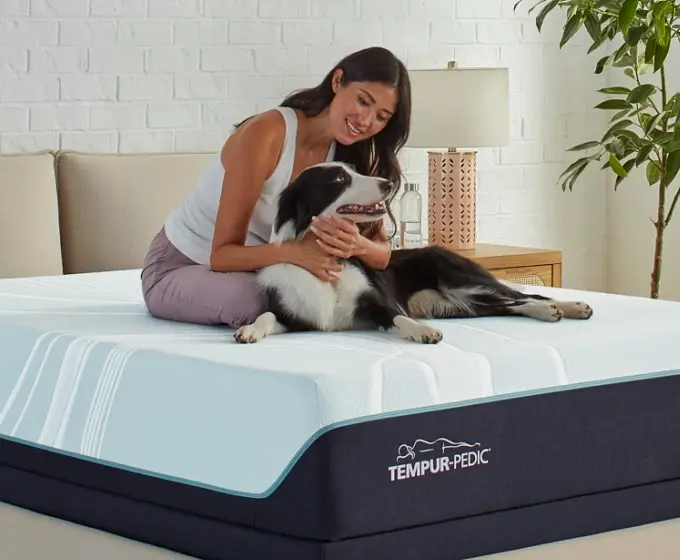 Bedding Buying Guide Bedding Buying Guide