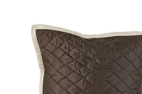 Colorburn Brown Euro Sham