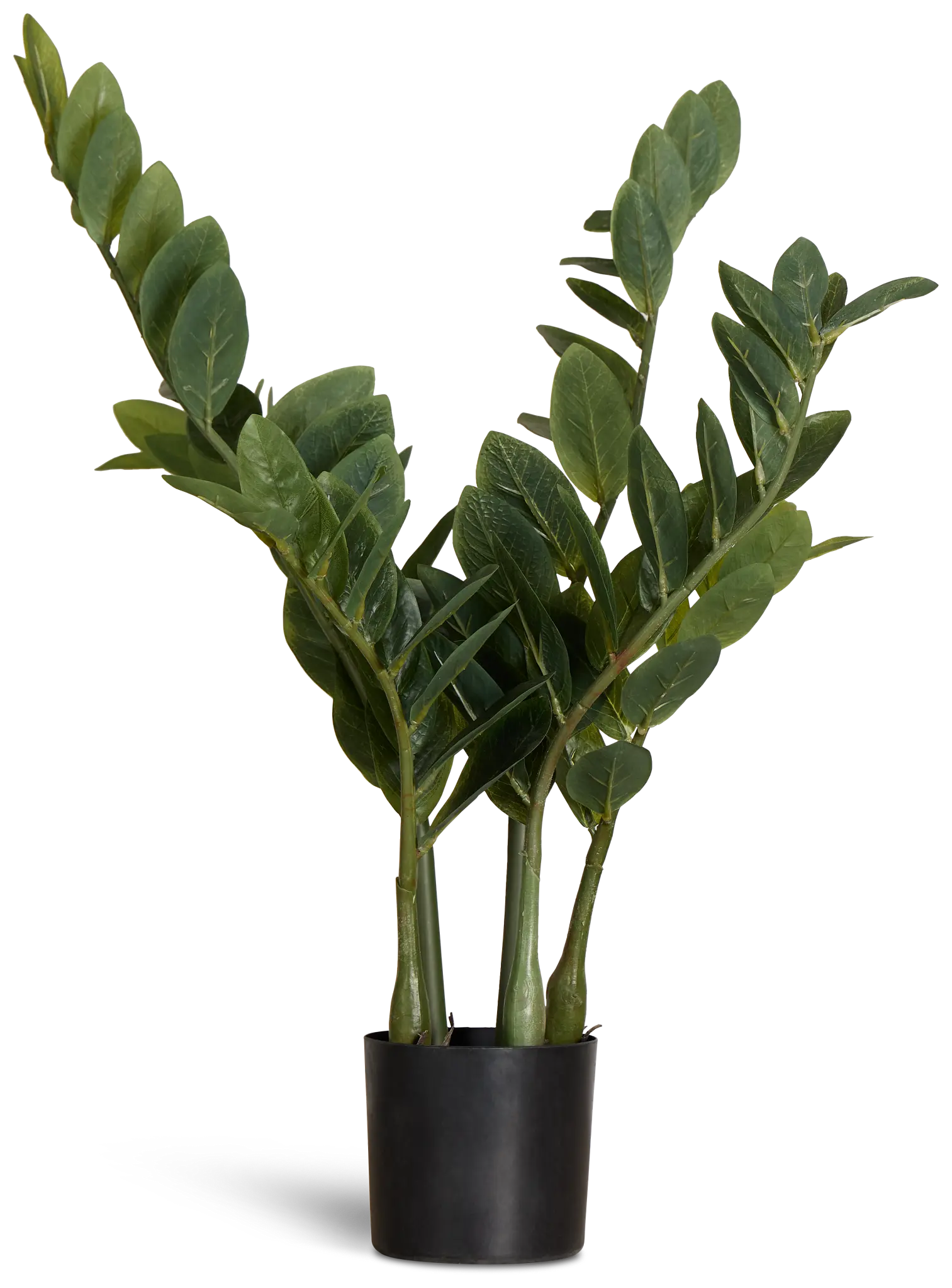 Ines Small Palm Ines Small Palm
