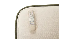 Avocado Green Plush Eco Plus Adjustable Base Mattress Set