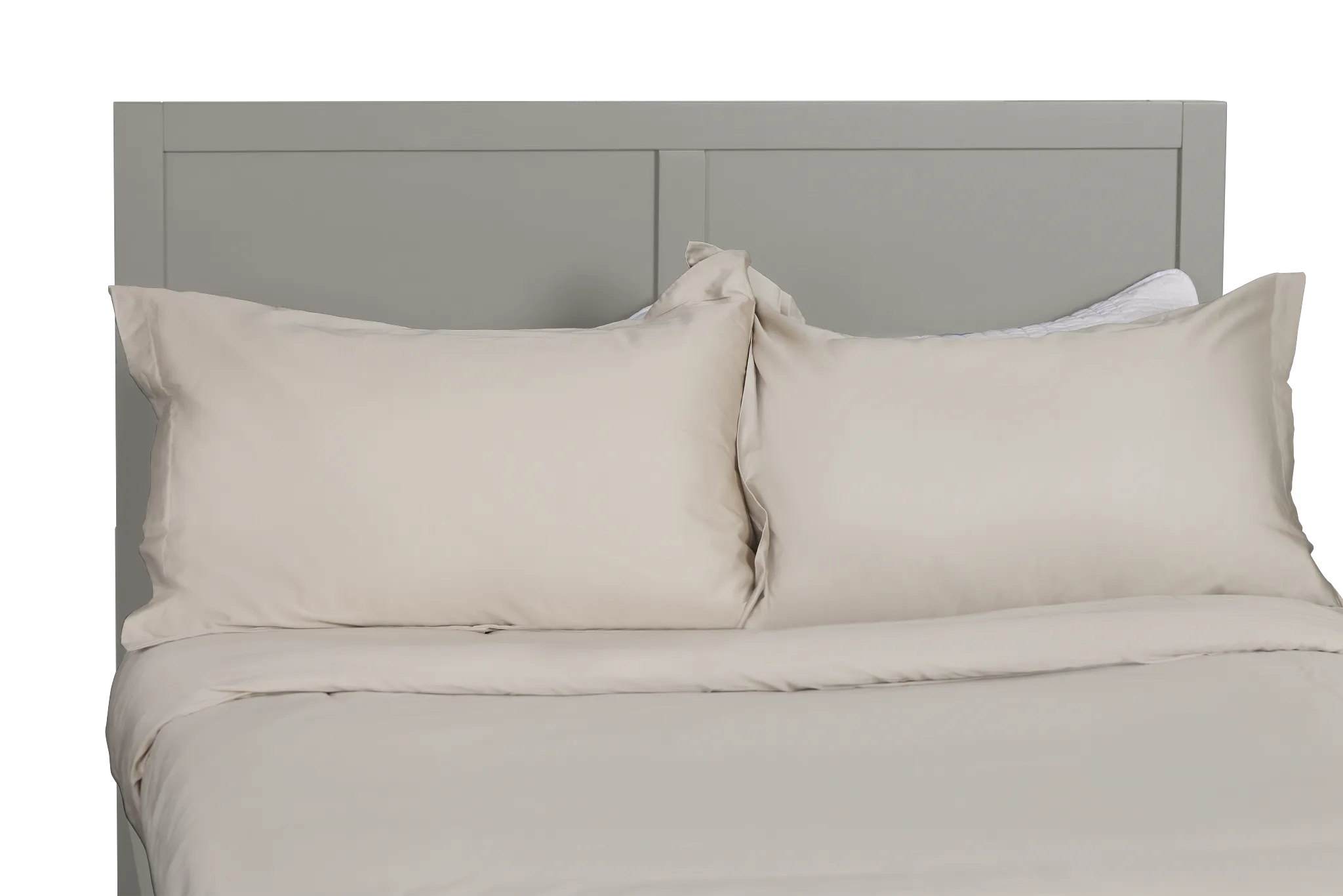 Charleston Gray Panel Bed With 2 Storage Drawers