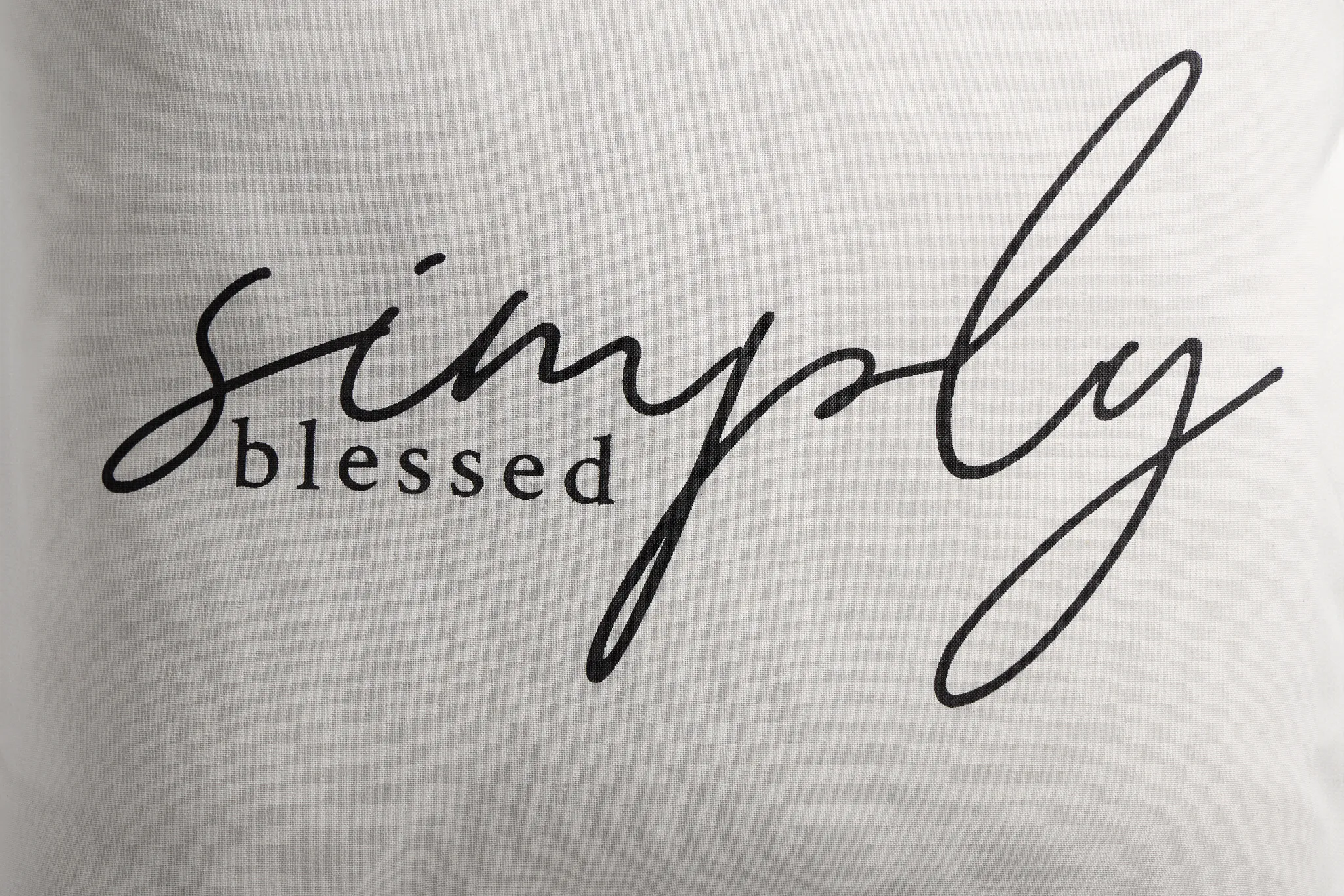 Blessed Ivory 22" Square Accent Pillow