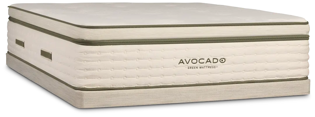 Avocado Green Plush Low-profile Mattress Set Avocado Green Plush Low-profile Mattress Set