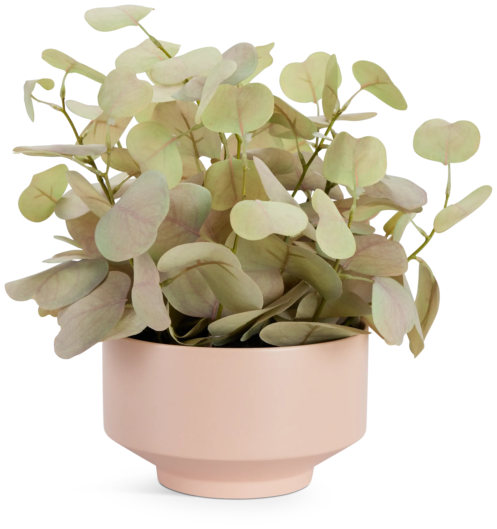 Eucalyptus 13" Greenery